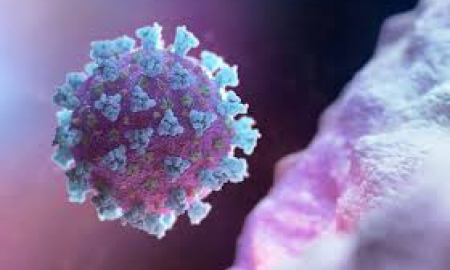 ВЕБІНАР - Зовнішньоекономічна діяльність в аспекті проблем, пов’язаних із поширенням коронавірусу COVID-19