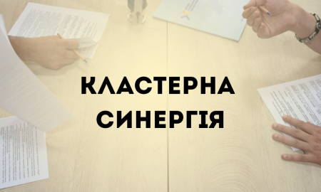 КЛАСТЕРНА СИНЕРГІЯ